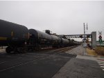 CTCX 730105
